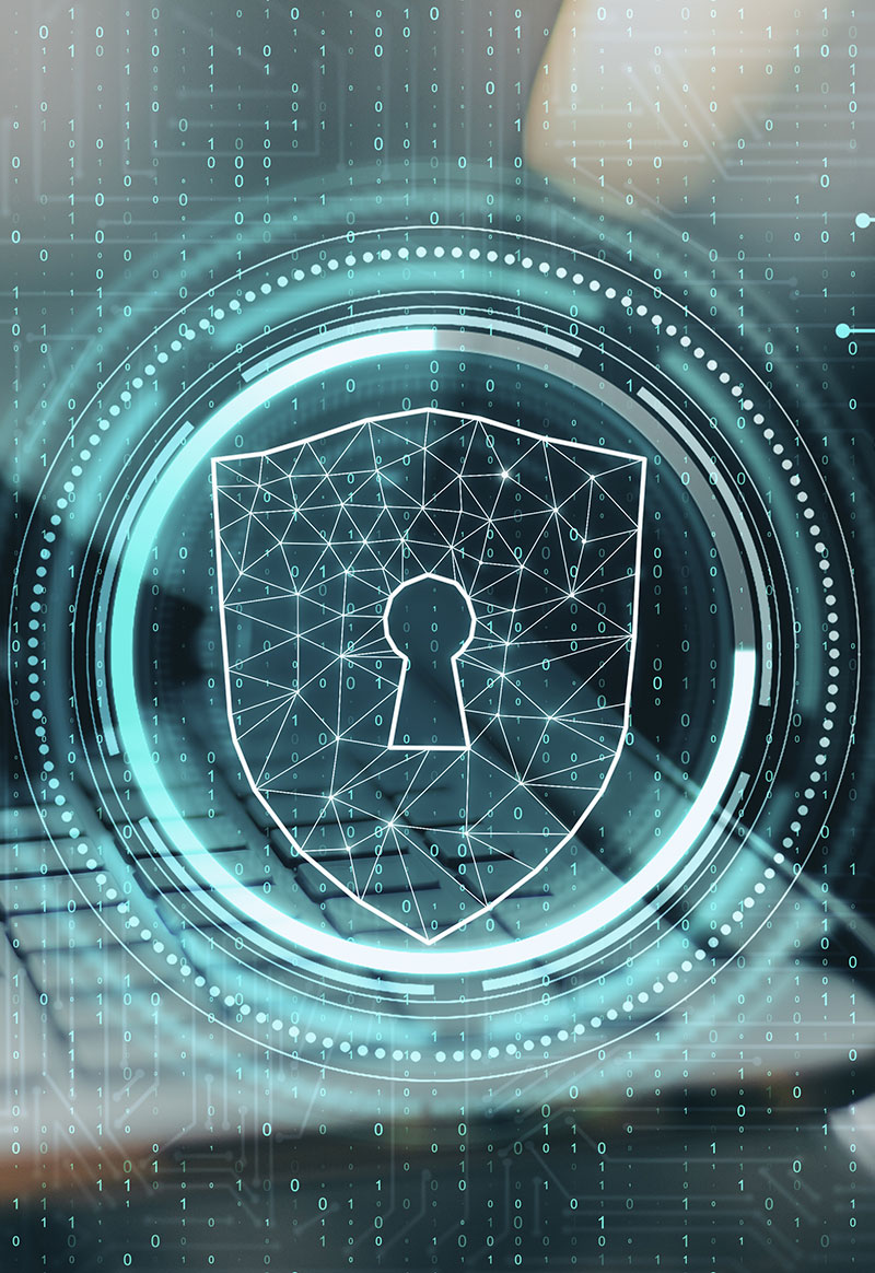 DBNET Fibra e Connettivita